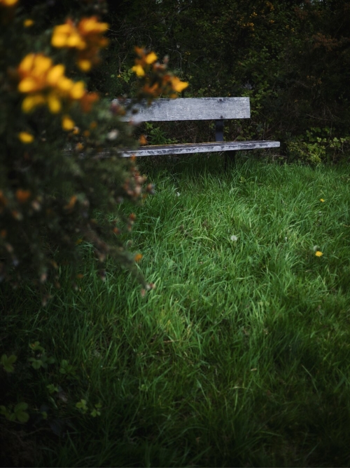 Bench