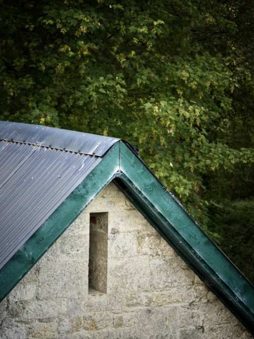 Shed near the lake