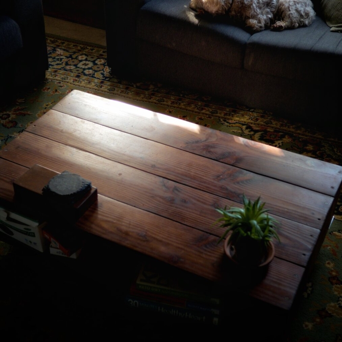 Morning Sunlight and a Sleeping Dog