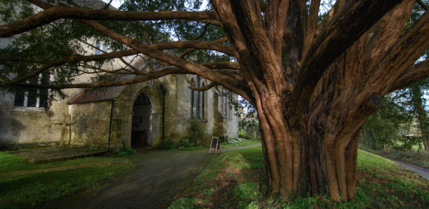 Tree and Church
